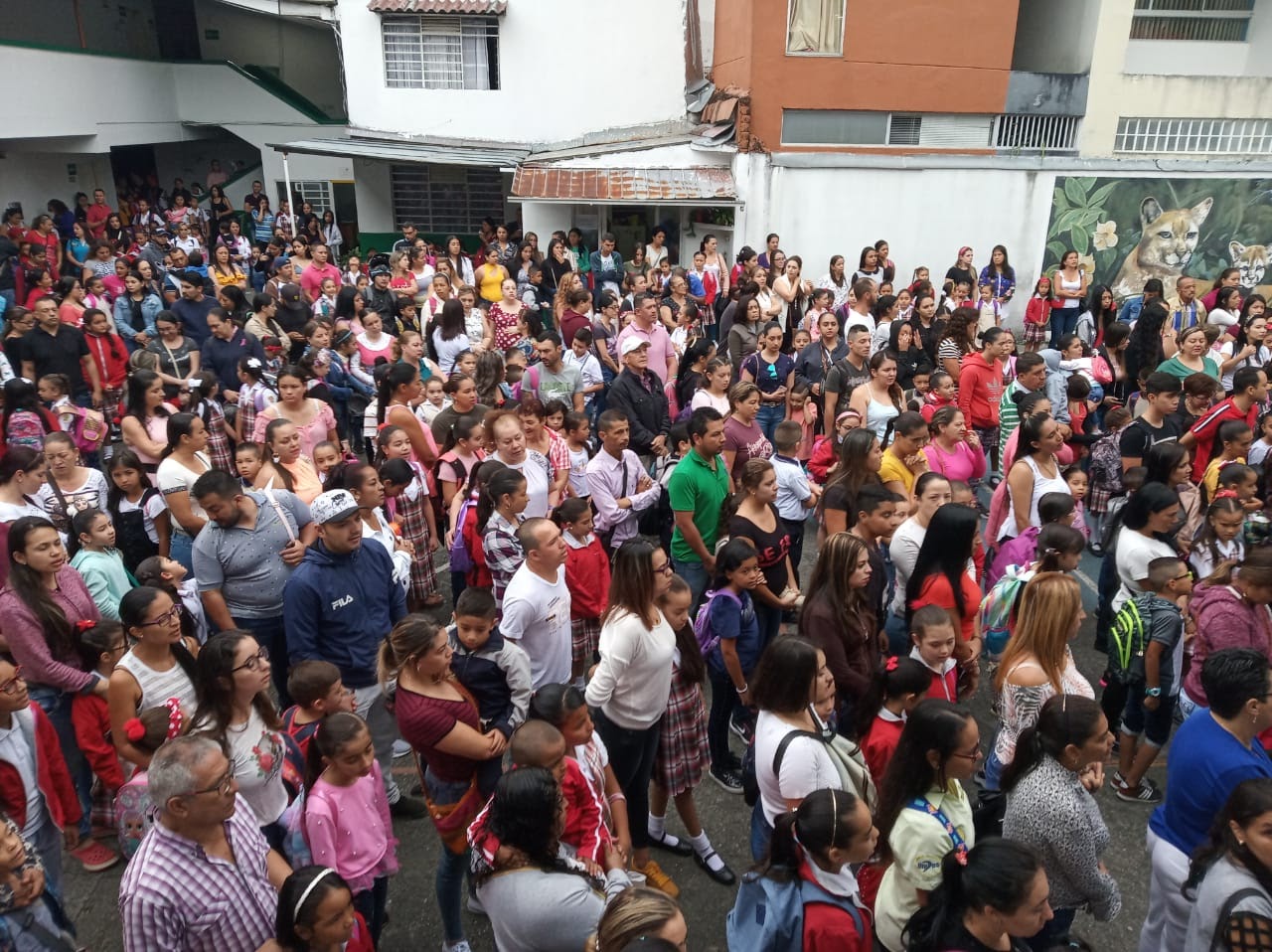 imagen1